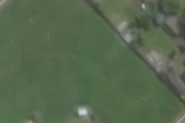 50 Havelock Street_0