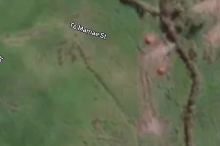 6 Te Mamae Street_0