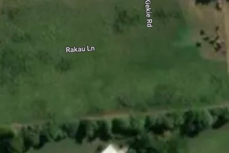 31 Kiekie Road_0
