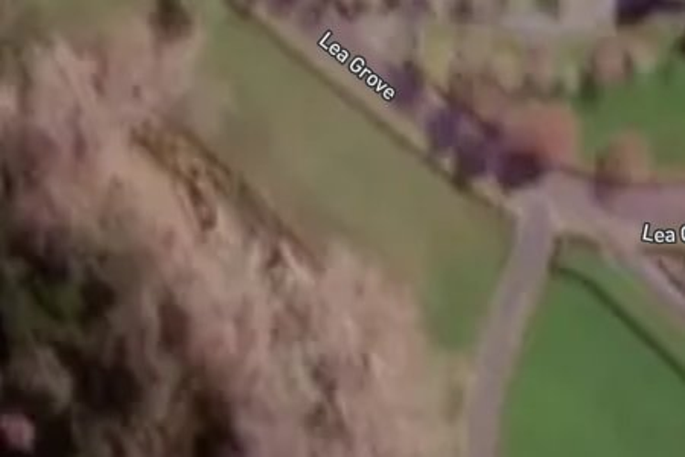 338a Sh1 Levin Foxton_0