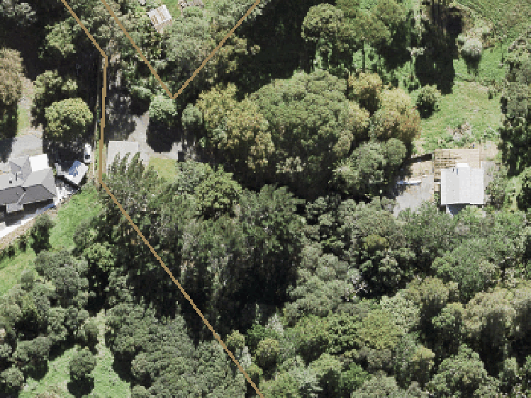 321 Muriwai Road_0