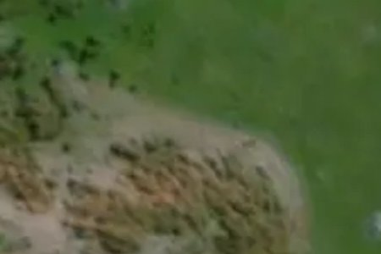 28 Emeline Chapman Drive_0