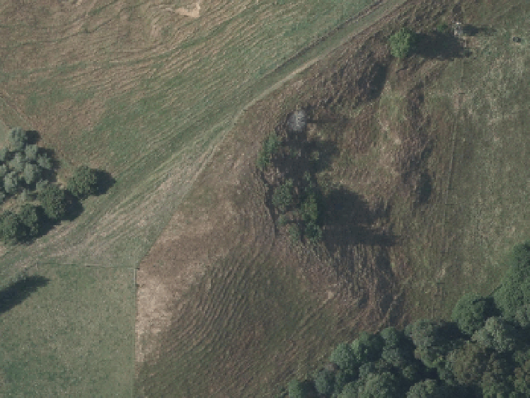 14 Piedmonte Avenue_0