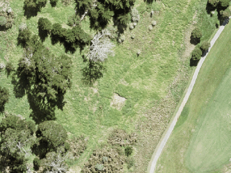 51 Ta Moko Drive_0