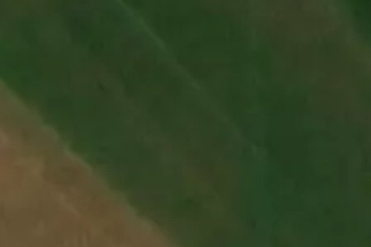Farm Road_0