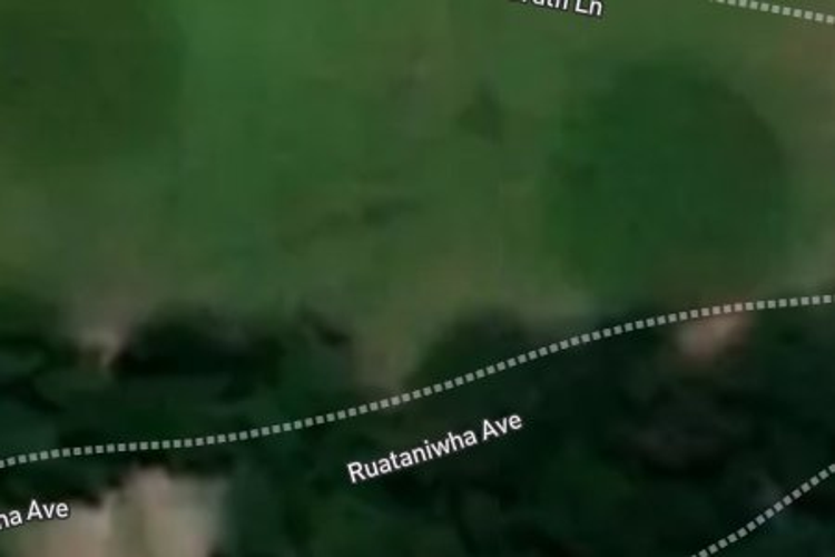 12 Ruataniwha Avenue_0