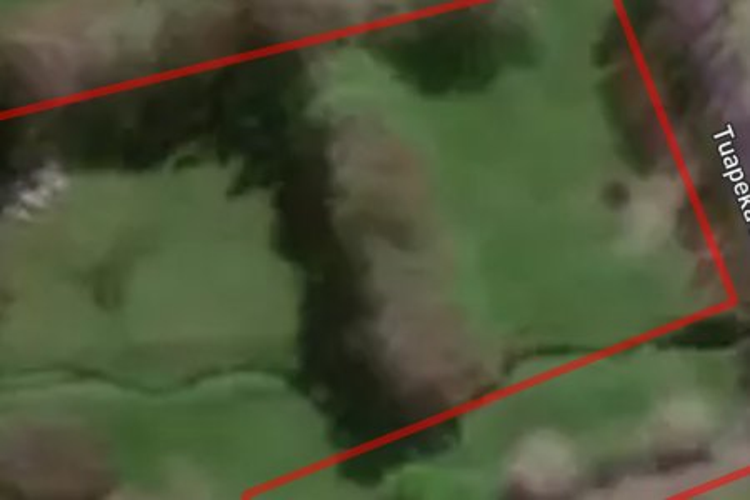 39 Tuapeka Mouth Road_0