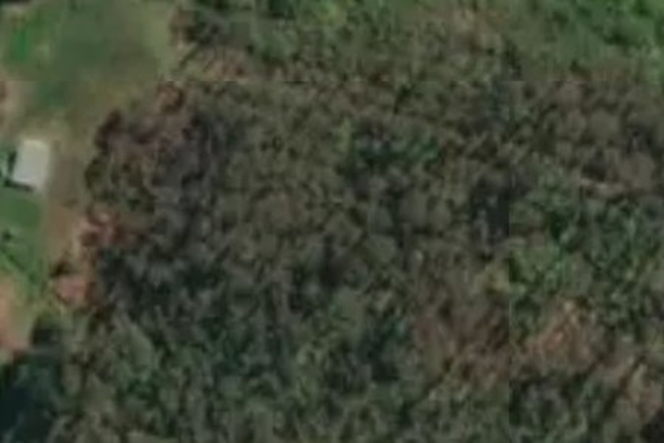 South Highway Karamea_0