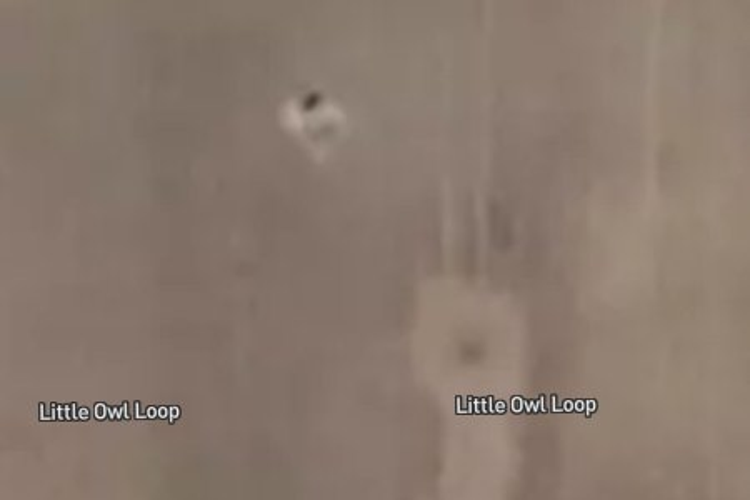 66 Little Owl Loop_0