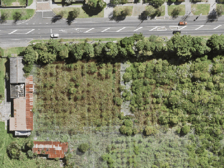 7/664 Swanson Road_0