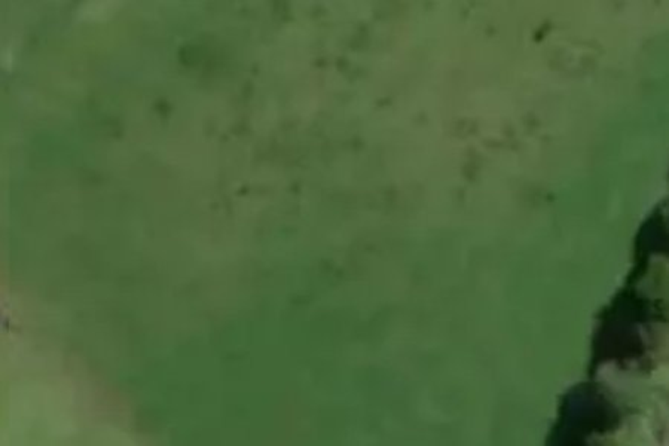659 Long Plain Road_0