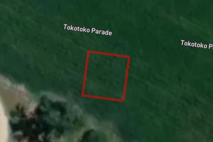 40 Tokotoko Parade_0