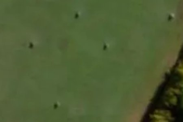 18 Kopper Crescent_0