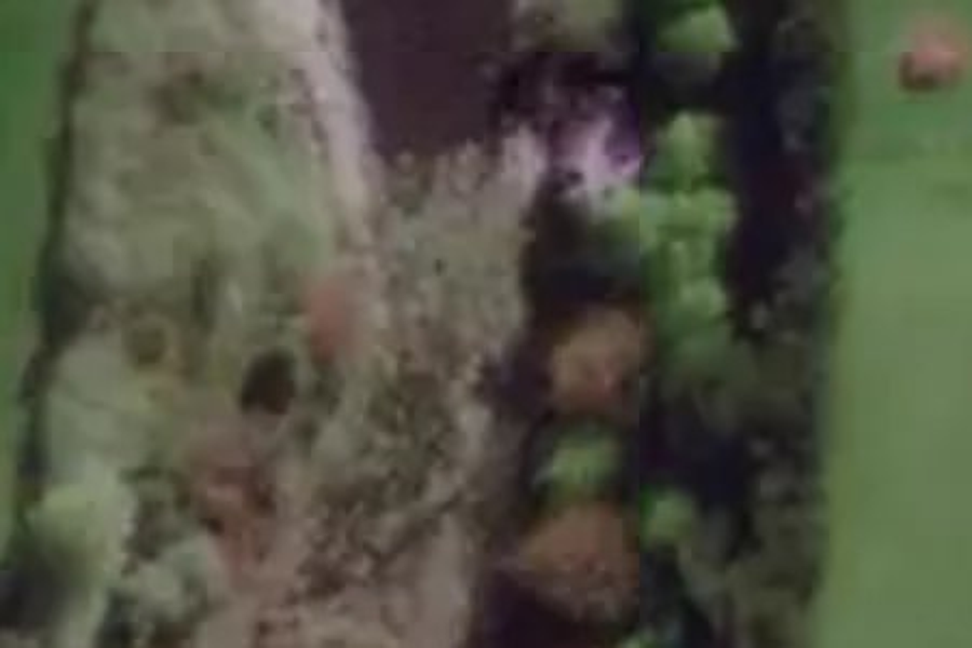 656f Ryal Bush Wallacetown Road Wallacetown_0