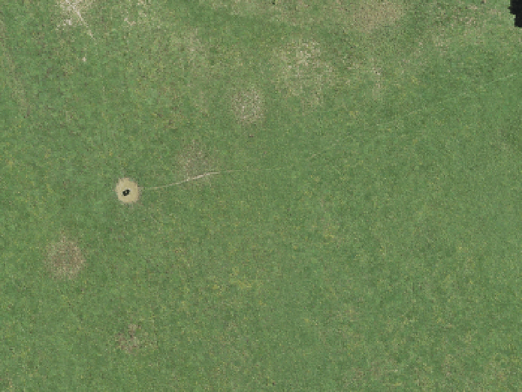 59 Shepherds Bush Road_0