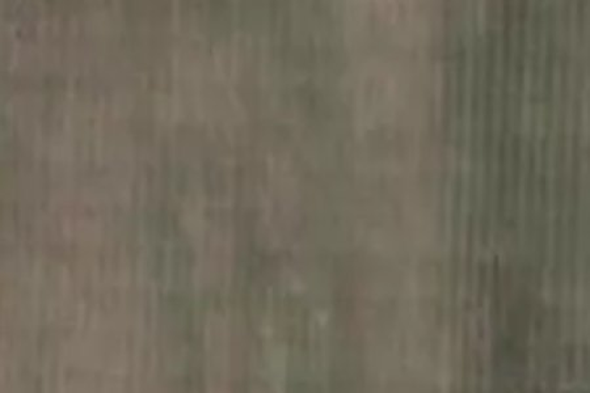 Hunter Road Tuamarina Marlborough Houses for Sale One Roof