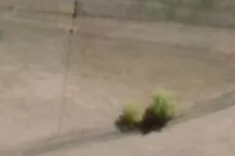 29 Kyle Road_0