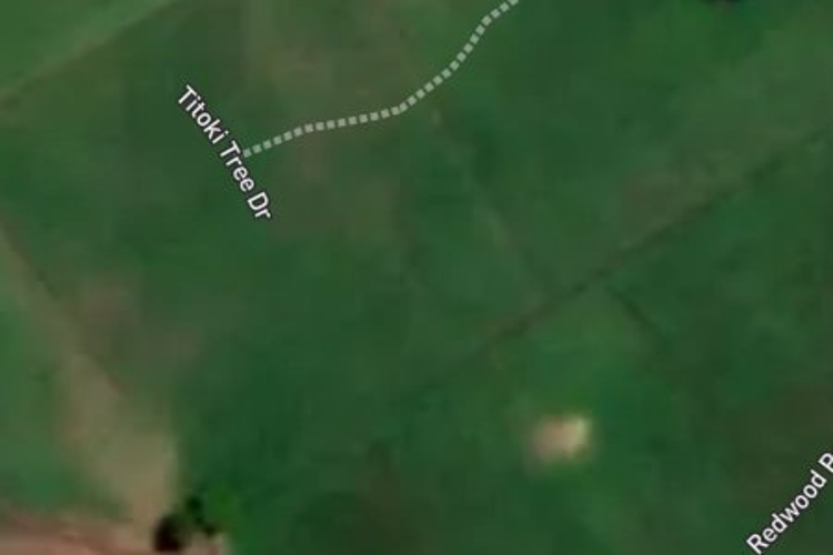 1 Cherry Tree Lane_0