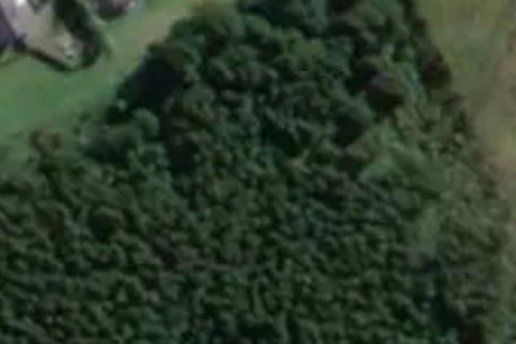 105 Golf Links Road_0