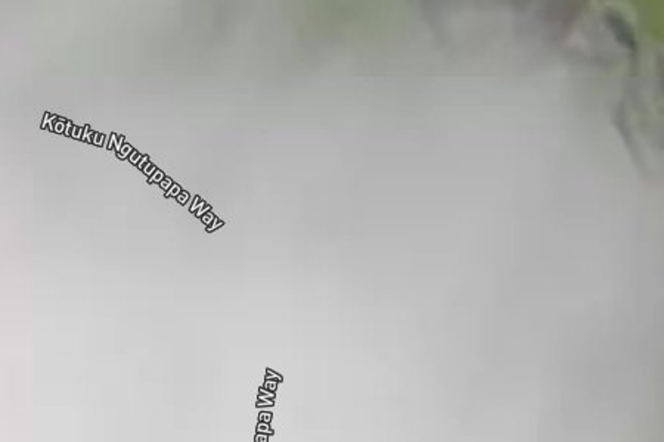 8 Kotuku Ngutupapa Way_0