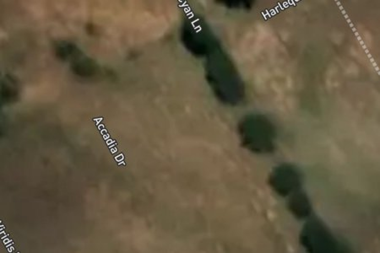 31 Harlequin Drive_0