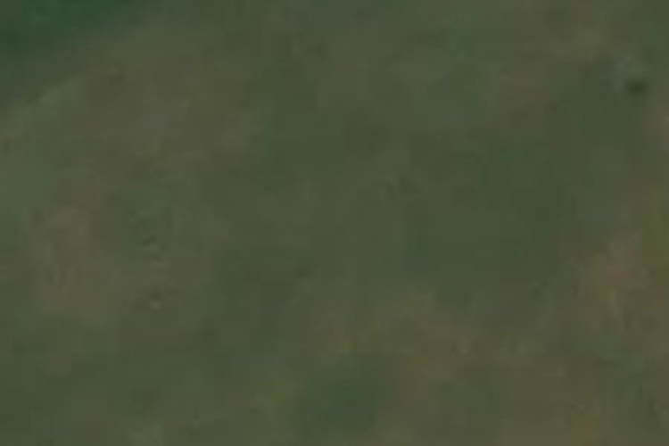 6 Henry Lane (Pvt)_0