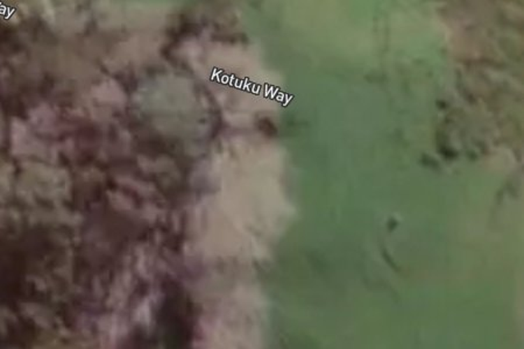 20 Kotuku Way_0