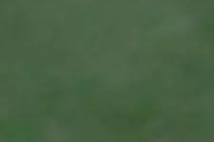 222 Maddisons Road_0