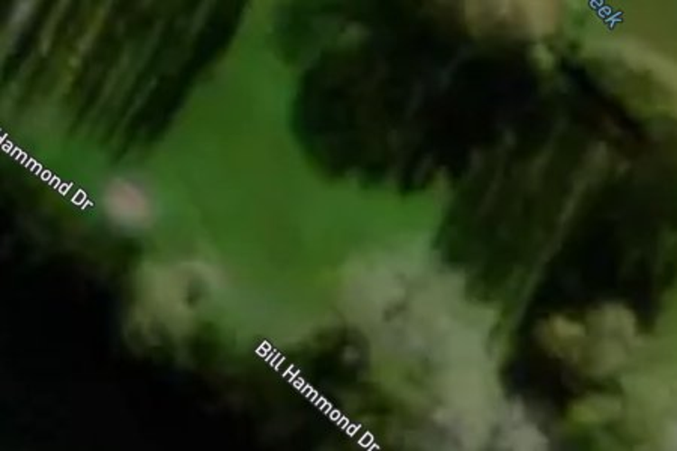 74 Bill Hammond Drive_0