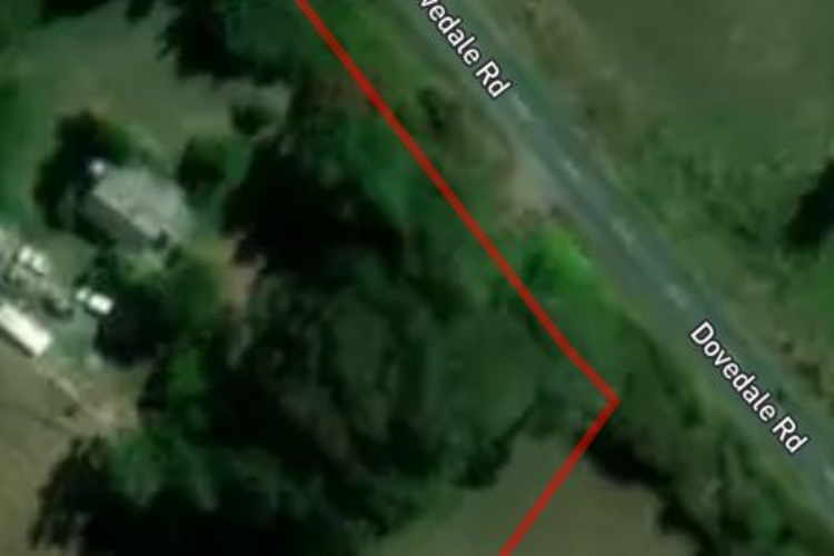 799 Dovedale Road_0
