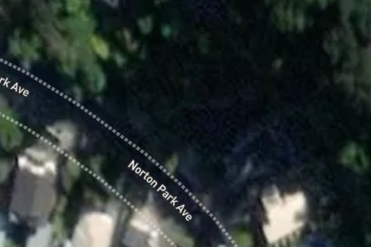 59 Norton Park Avenue_0