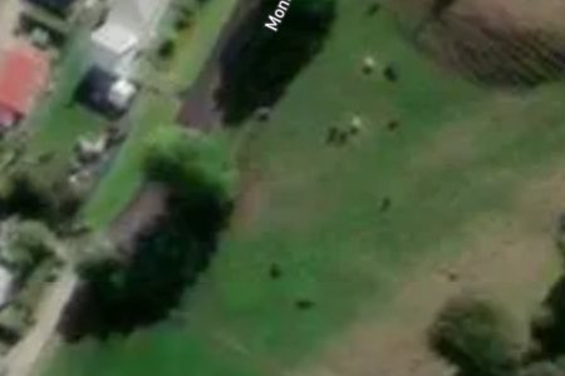 - Montrose Street Kaiti_0