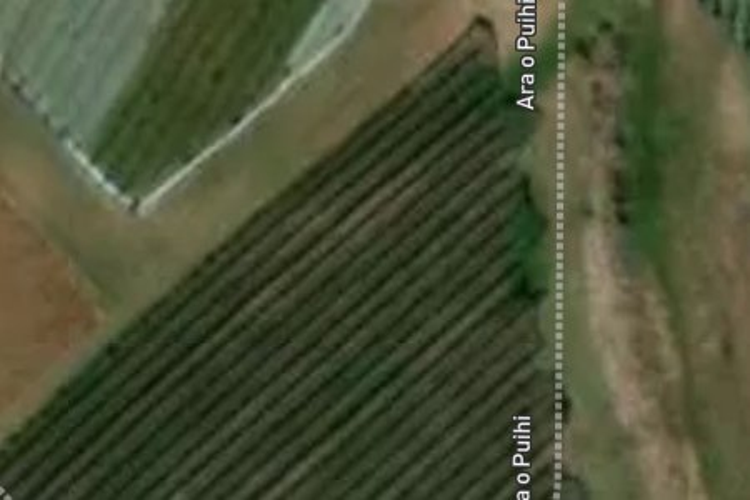 Waimea West Road_0