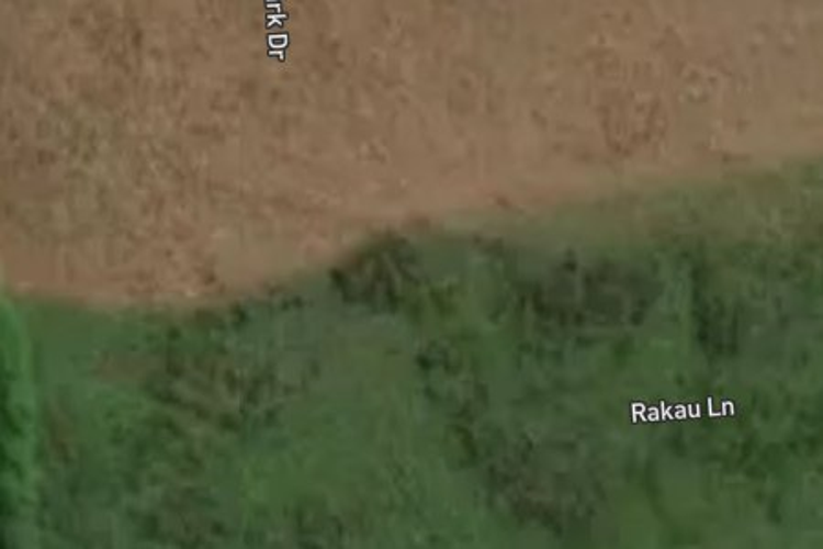 42 Tulett Park Drive_0