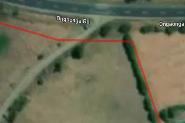 147 Ongaonga Road_0