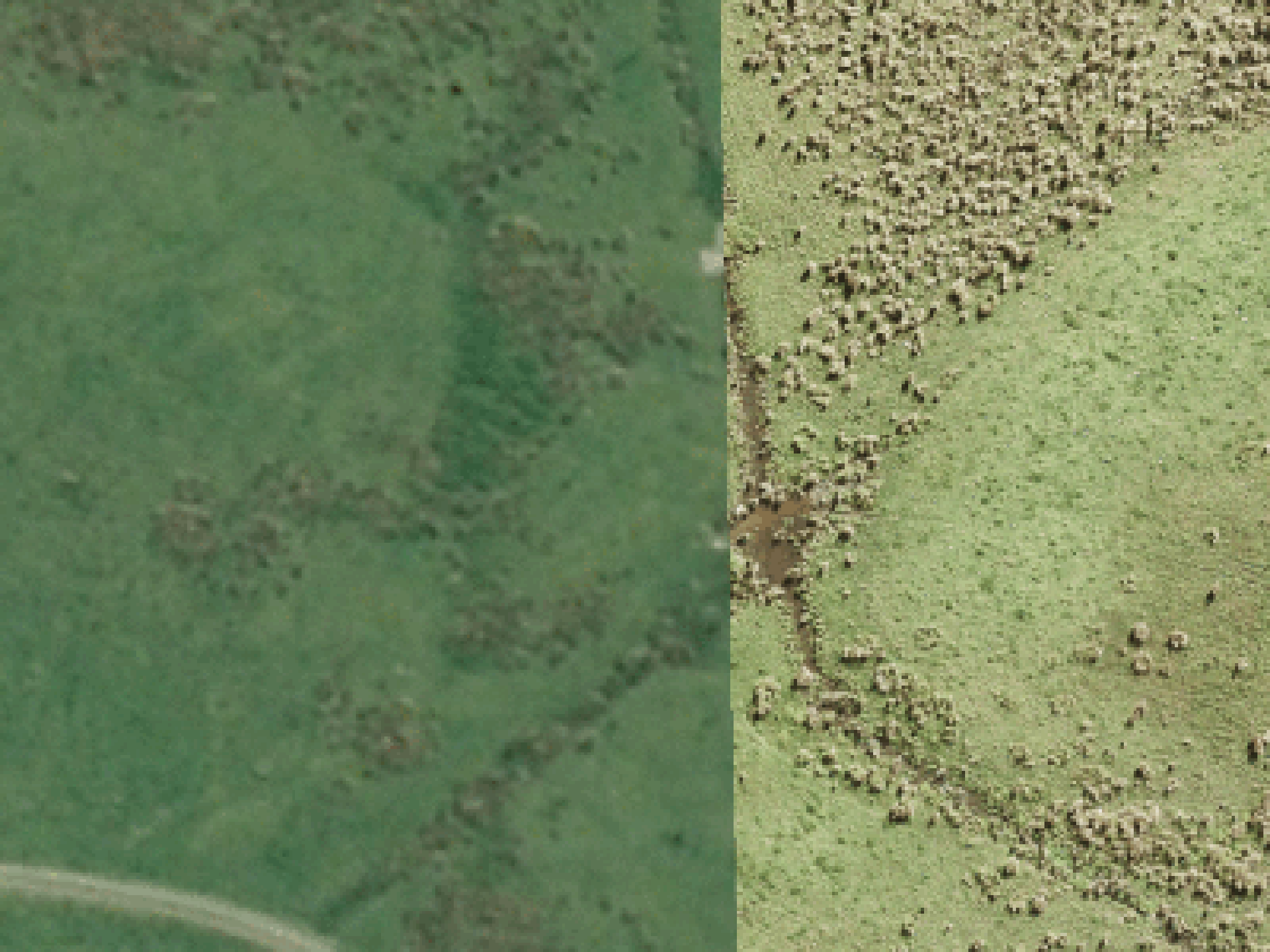 Witten Road Pakiri Rodney Houses for Sale One Roof