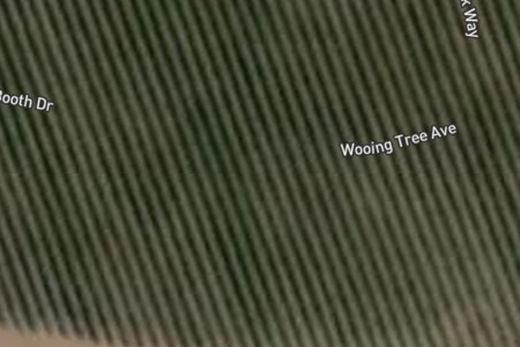 13 Wooing Tree Avenue_0