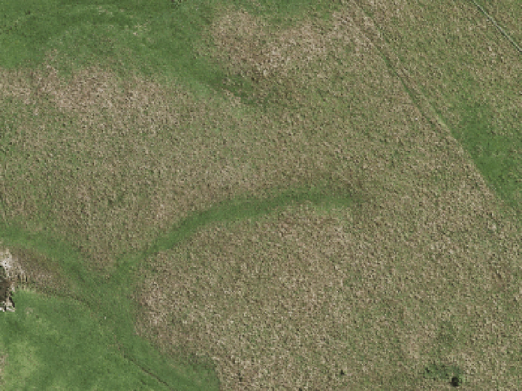 18 Wallis Esplanade_0