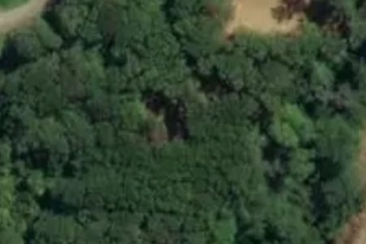 Kongahu Swamp Road_0