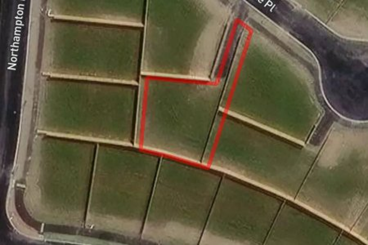 6 Springville Place_0