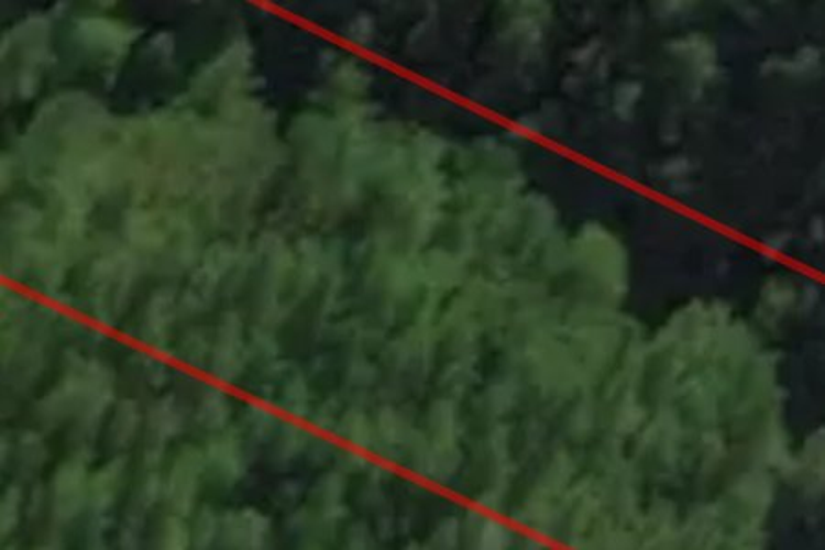 Queen Charlotte Snd_0