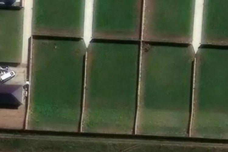 93 Waikirikiri Avenue_0