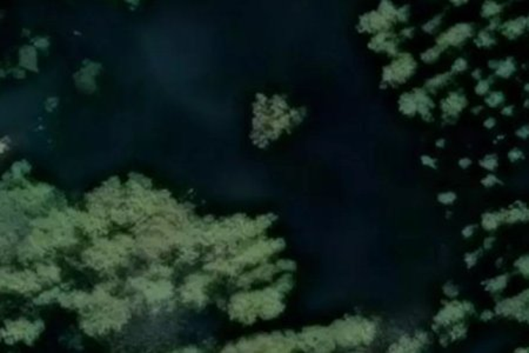 - Bay of Many Coves_0