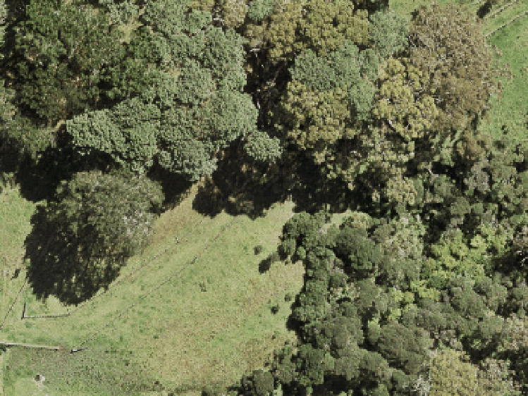 176 Waitakere Road_0