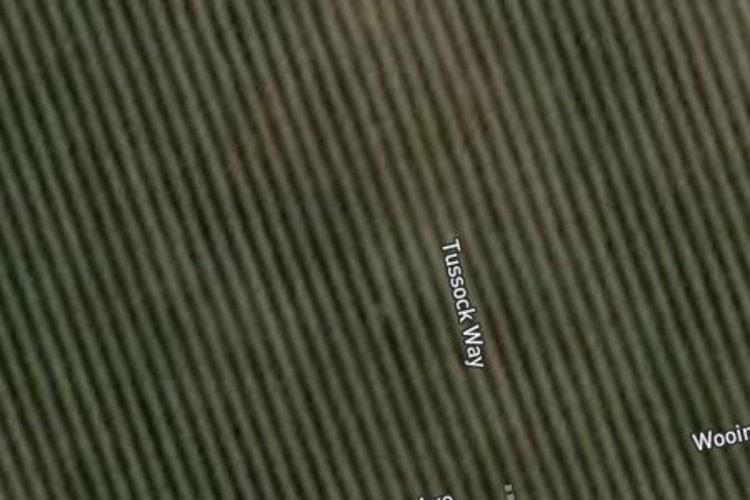 3 Tussock Way_0