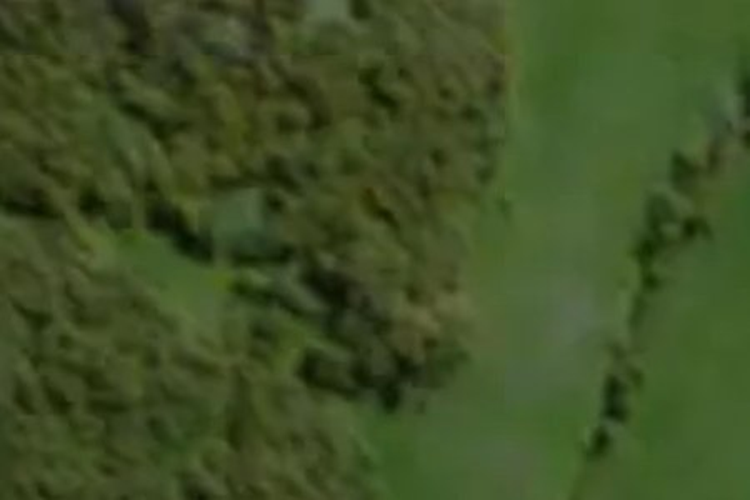 40 Emeline Chapman Drive_0