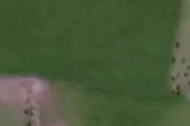 48 Woodlands Morton Mains Road_0