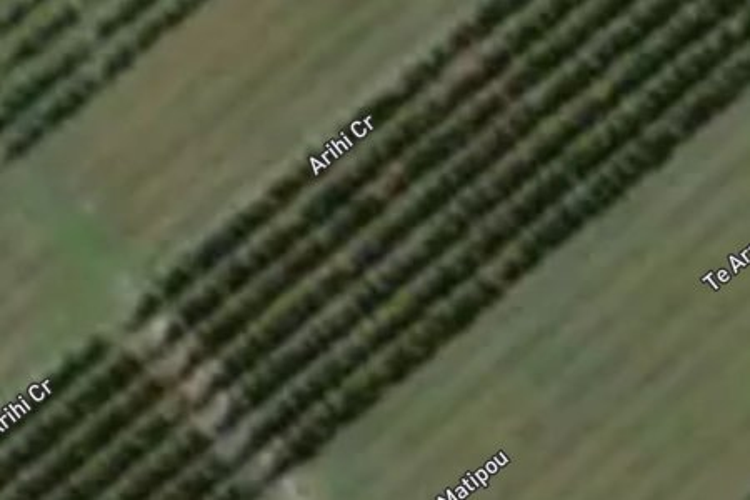 14 Arihi Crescent_0