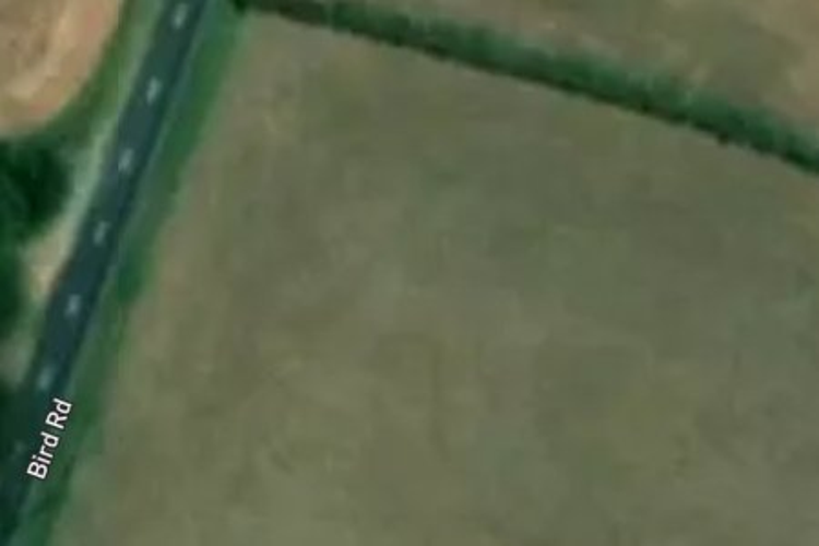260 Bird Road_0