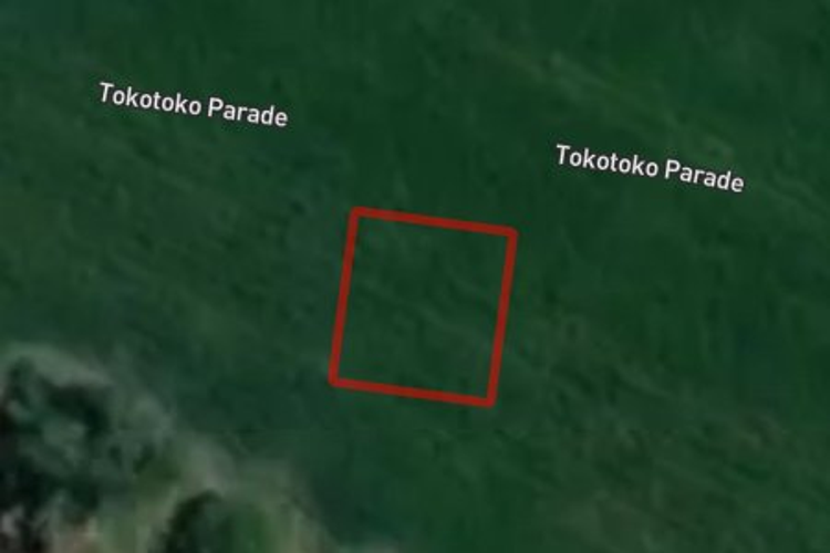 42 Tokotoko Parade_0